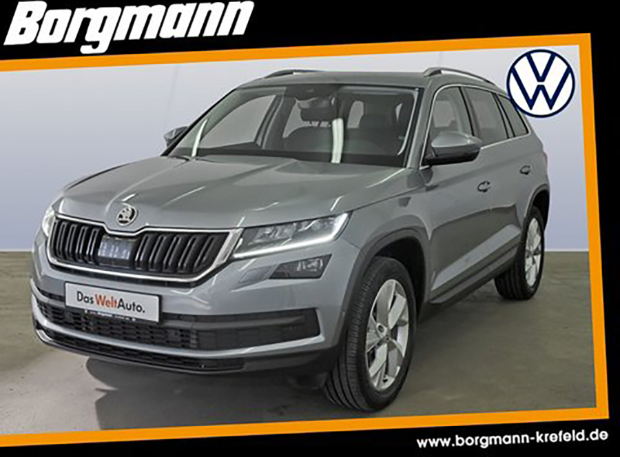 Skoda Kodiaq im Autohaus Borgmann