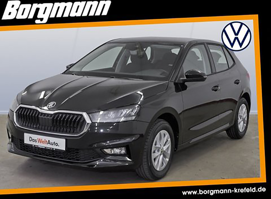 Skoda Fabia im Autohaus Borgmann