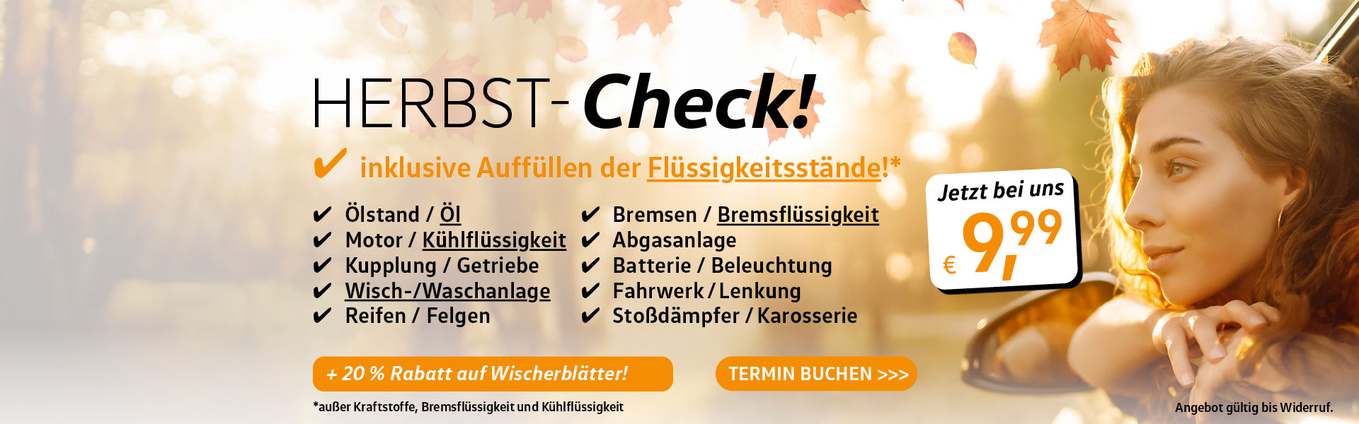 Herbst-Check bei Autohaus Borgmann