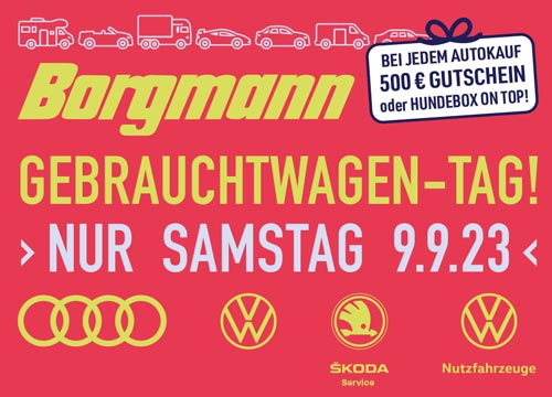 Gebrauchtwagen-Tag Borgmann September 2023