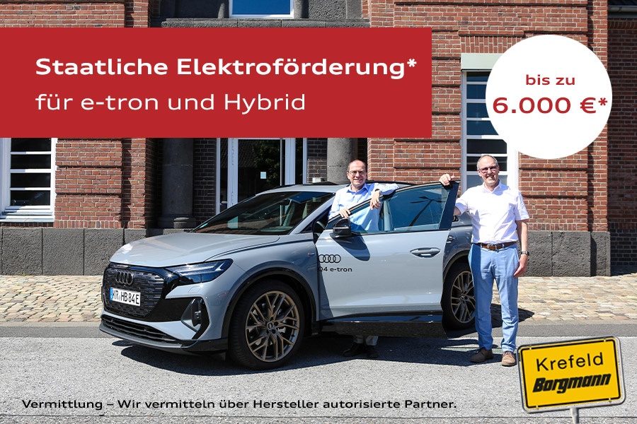 Elektroförderung 2026 bei Borgmann