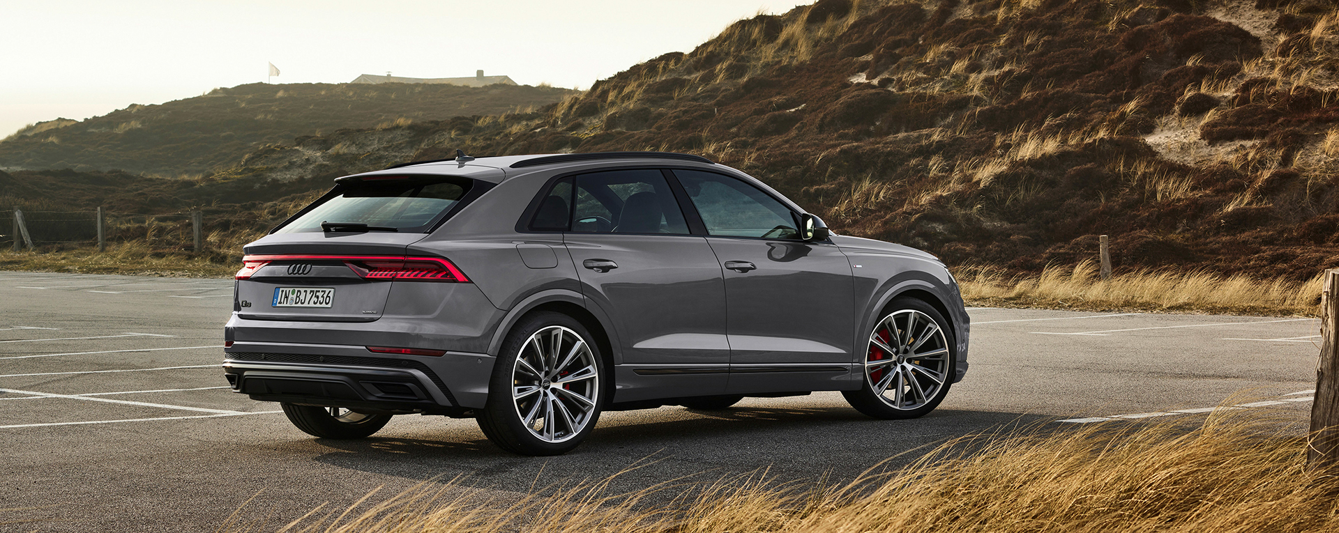 Audi Q8 im Autohaus Borgmann