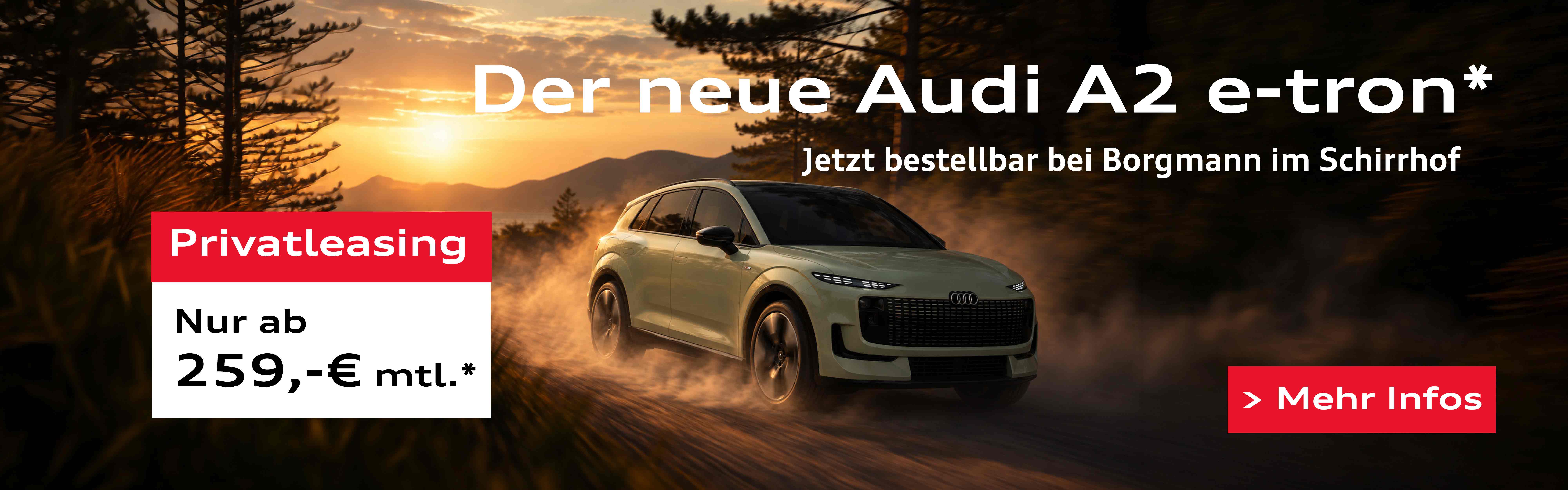 A2 e-tron bei Borgmann im Schirrhof