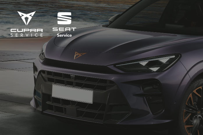 Seat und Cupra Service bei Borgmann Krefeld Seat und Cupra Service bei Borgmann Krefeld