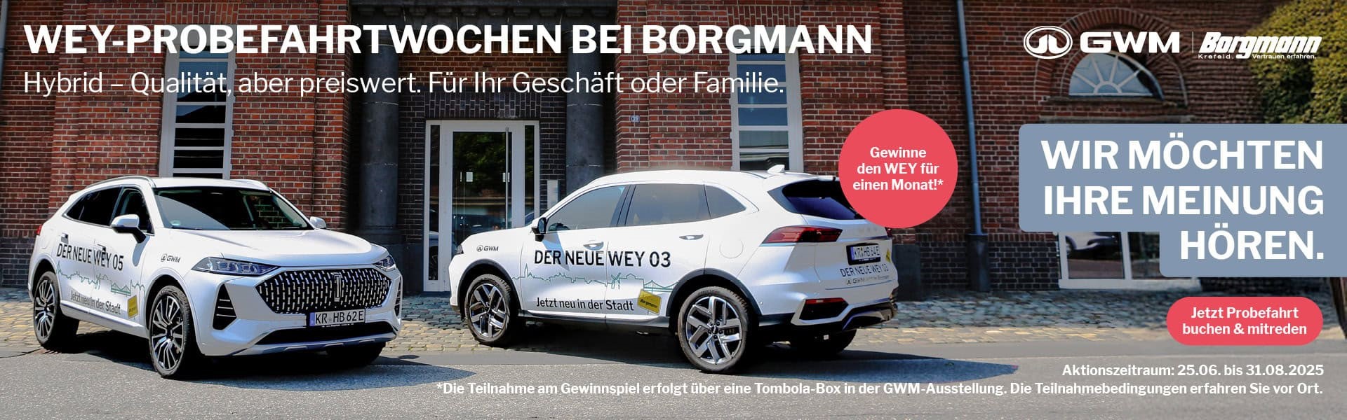 GWM WEY Probefahrtwochen bei Autohaus Borgmann