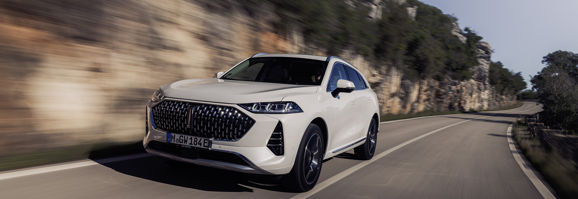 Der GWM WEY 05 bei Autohaus Borgmann 