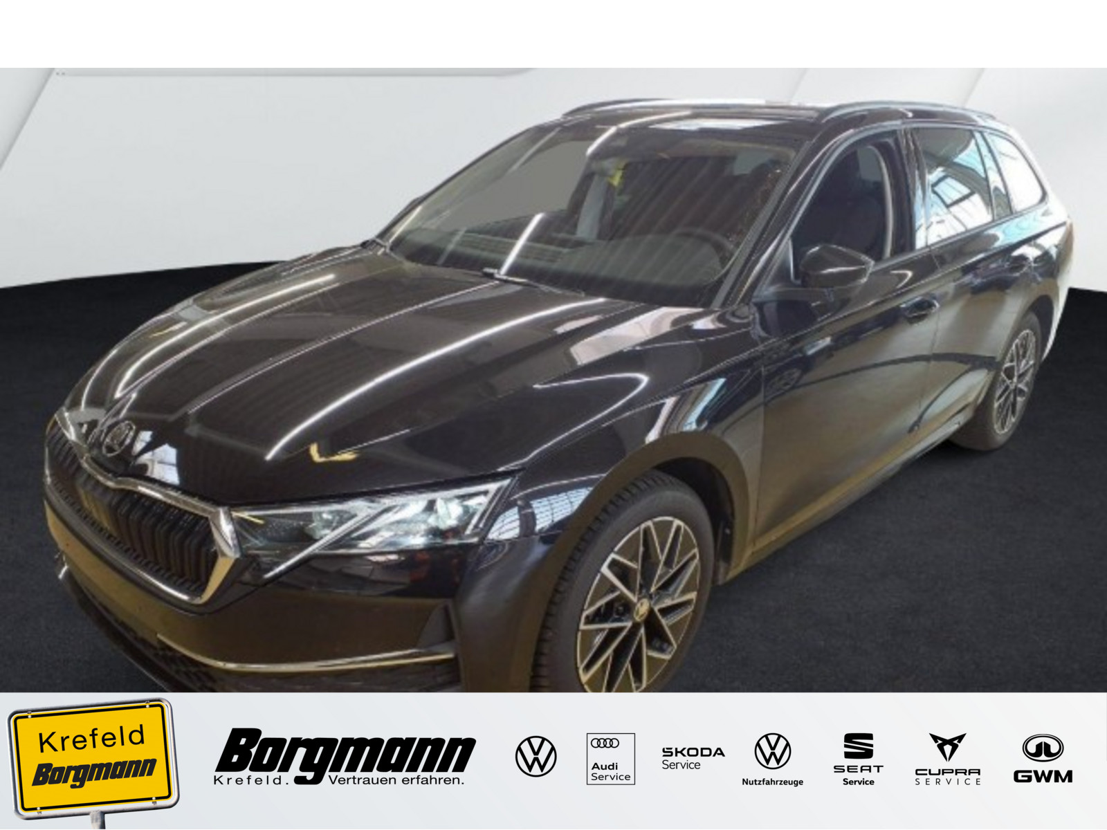 SKODA Octavia 2.0 TDI DPF Selection