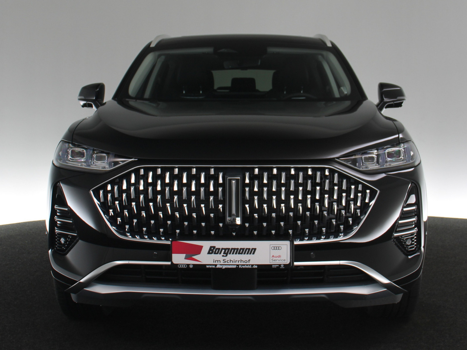GWM WEY 05 Luxury GWM WEY 05 Luxury