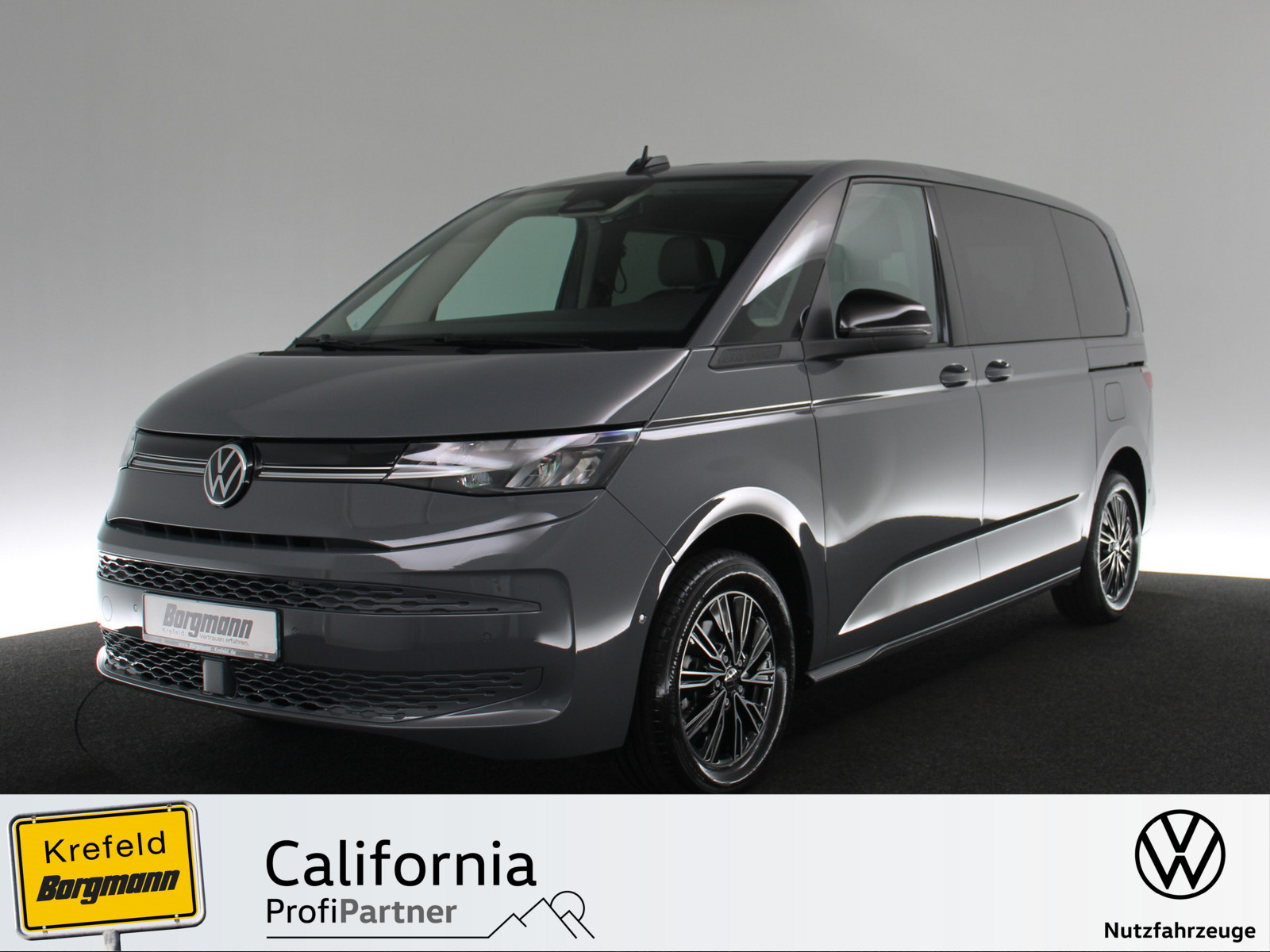 VW T7 Multivan 2.0 TDI Goal
