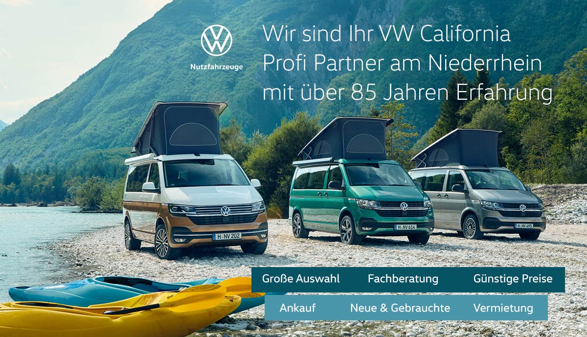 VW California preiswert kaufen