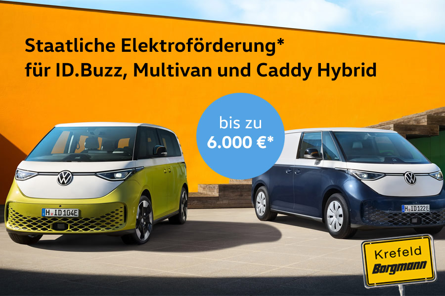 Elektroförderung 2026 bei Borgmann