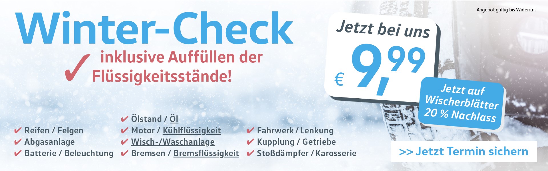 Wintercheck bei Borgmann