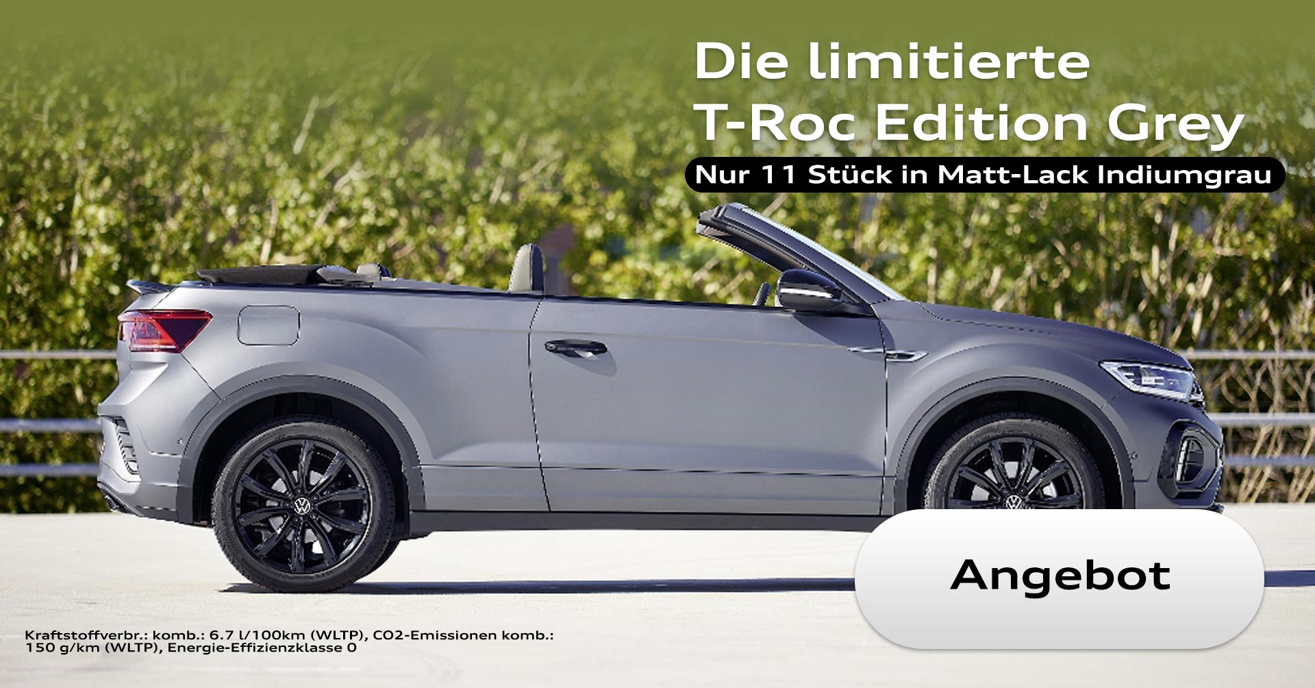 VW T-Roc Edition Grey